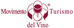 logo_mtv_vettoriale.png
